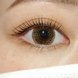 パリジェンヌラッシュリフト！1日キープ束仕上げコーティング無料！