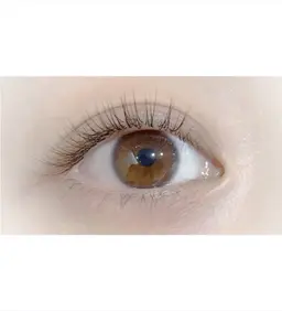 🎟️【LEDエクステ導入⭐️】マツエク100本（オフなし）　⚠️下記の注意事項を必ずお読みください。