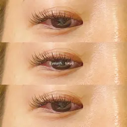 【前回から６週間以内のご来店限定】ダブルフラットラッシュ付け足し40束