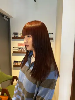 11.12月限定🌟カット、カラー、トリートメント、シャンプー、ブロー