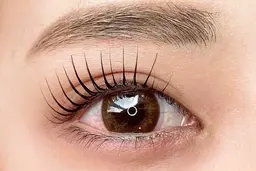 ✨Trコーティング付✨まつ毛パーマ【オフ込】