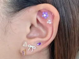 〔クリスマス前限定🎄🎅〕耳つぼジュエリー💎✨(8粒)