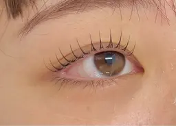 平日限定🌟まつ毛パーマ！TR付き🌟