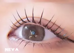 【当日限定】お手頃価格で一気に垢抜け♪】大好評のまつげパーマ