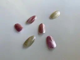 マグネットワンカラー(オフなし)¥7500→¥6500