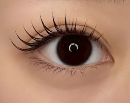 パリジェンヌラッシュリフト👀🫧 アイシャンプー🧴コーティング無料!