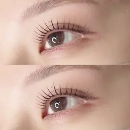 New★ 韓国発🇰🇷｜マスカラパーマ🦉🤎🤎