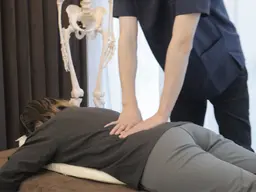 【全てを一度に💫】✨🍀全身整体×ドライヘッドスパ×姿勢・骨盤調整×もみほぐし 120分 ¥16,000→¥8,000