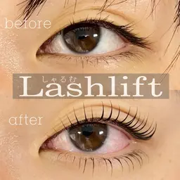 上下ラッシュリフト