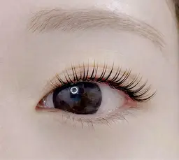 ✨フラットラッシュ60本(オフなし)✨コーティング付🌷