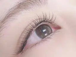 フラットラッシュ　付け放題