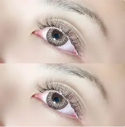 限定🕯ボリュームラッシュ🕯【総数300本】練習モデル🤍