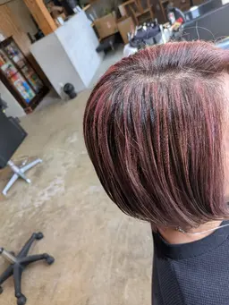 カット+ハイライト+イルミナカラー+トリートメント