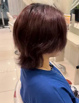 カット＋透明感カラー＋スペシャルトリートメント（レディースも可）