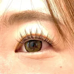 【✨ミニモ限定価格✨】(オフなし)《Wフラットラッシュ80束(160本)》⚠️当店のご来店が初めての方のみ