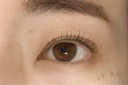 【期間限定】パリジェンヌラッシュリフト🎀🫧