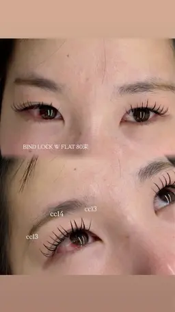 バインドロック　80束