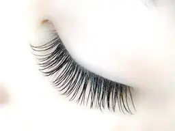 オフ込みセーブル140本7000円