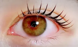 【まつ毛パーマ】選べるカール♪束間コーティング付♪3800円