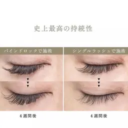 【オフ無料】次世代バインドロック 80束★コーティング剤付