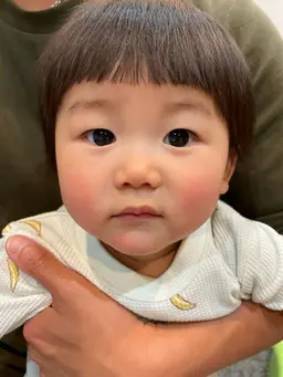 フロントカット