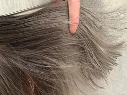 🟢ダブルカラーでこだわりのハイトーンに☆ケアブリーチ＋カラー¥12500（全頭、ハイライト、グラデーション）【博多】