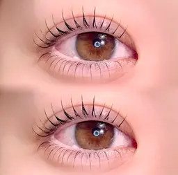 〔目力up！〕上下まつ毛パーマ➕ブラックティント🇰🇷🖤