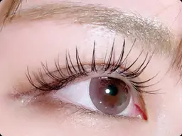 natural🌿flat lash 100本✨