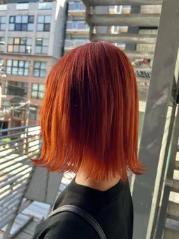 🌼ハイトーン🌼2回目以降の方はこちら💁‍♀️カット+Wカラー＋トリートメント