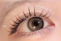 【上下フラットラッシュ】オフ込み/上120本まで/下30本