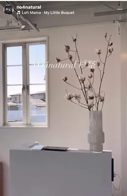 クレンジング炭酸プラン+似合わせカット