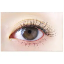 【再来/上エクステ120本💫コーティング付】本数追加可能＊＊ご来店歴がある方で口コミ投稿された方