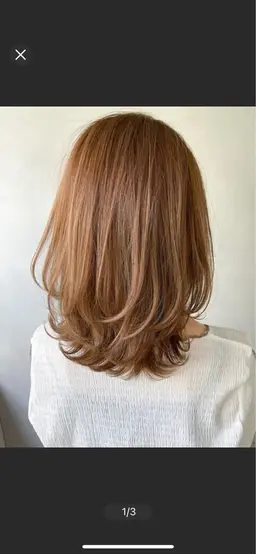 カット、カラー、広がりやうねりを抑えるトリートメント