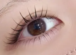 【🩵根元から立ち上げまつげパーマ🩵】アイシャンプー+高濃度トリートメント付き✨