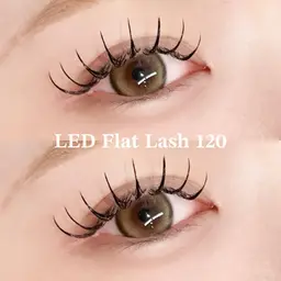 【1/16限定💡】オフ🉑LEDフラットラッシュ120本🎀¥6900