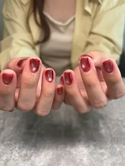 1/19限定✨【オフあり】マグネットネイル　¥5000