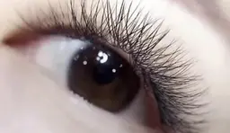 【オフあり】LEDクロスボリュームラッシュ150束まで　アイシャンプー込み☆