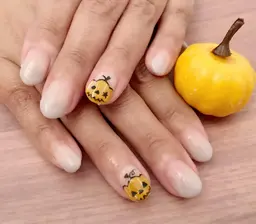 アート２本コース