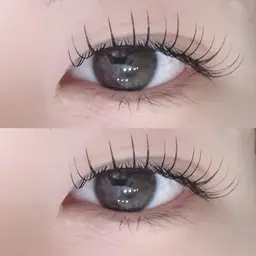 【モデル価格】フラットラッシュ100本