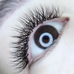 🌈Y型ラッシュ100束5500/120束6500/140束7500/つけ放題8500