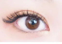 ⭐️持続力No.1!バインドロック80束(240本使用)⭐️