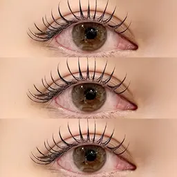 フラットマットラッシュ🌷（120本）