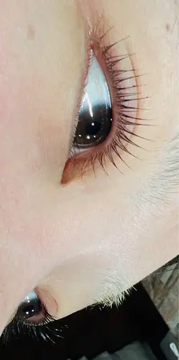 🌈パリジェンヌラッシュリフト🌈