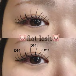 フラットラッシュ100本