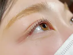 まつげパーマ上のみ(アイシャンプー/仕上げ美容液込み)