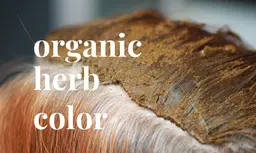 【ミニモ限定特別価格】🌿頭皮のかゆみにお悩みの方へ🌿オーガニックカラーでかゆみを防ぎます！