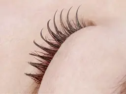 【15日(木)限定】 ⭐️フラットラッシュ100本