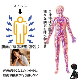 全身循環アロマトリートメント60