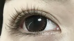 ラッシュリフト、メーテルラッシュリフト♪ コーティング付き