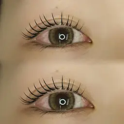 «平日限定»まつげパーマ👀🫧美容成分たっぷりコーティング束感仕上げ✨